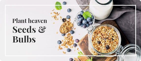 Gambar tidak dapat dimuat